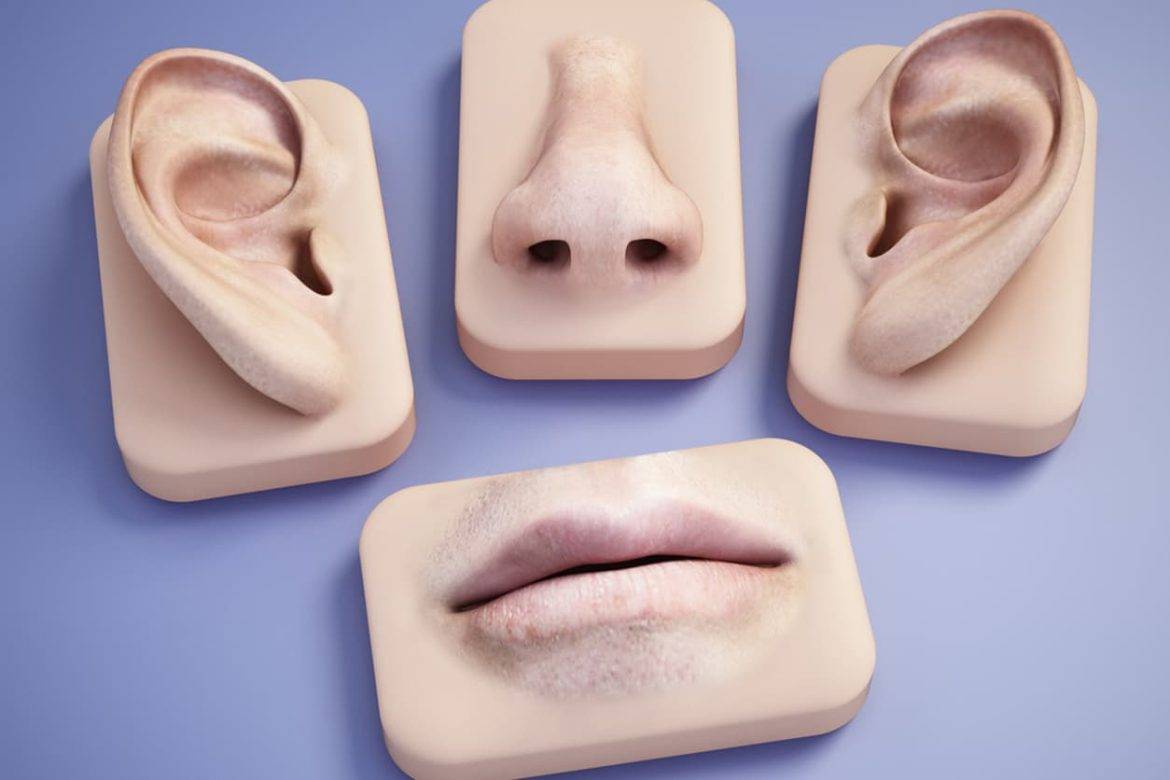 Nose, mouth and ear body parts on blue background