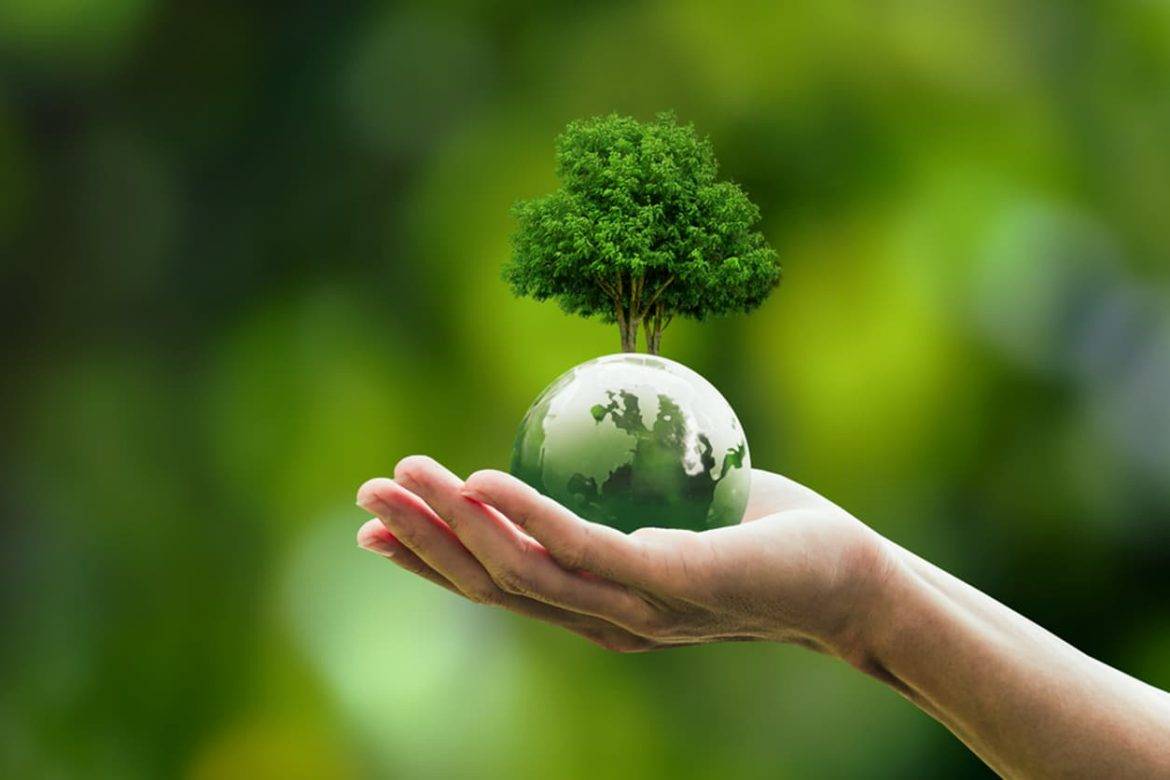 human hand holding green globe orb with growing tree save our planet